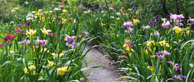 Moncus-Park