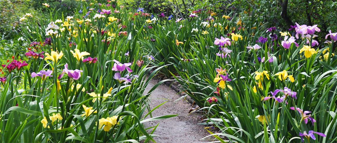 Moncus-Park